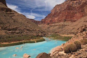 Little Colorado River