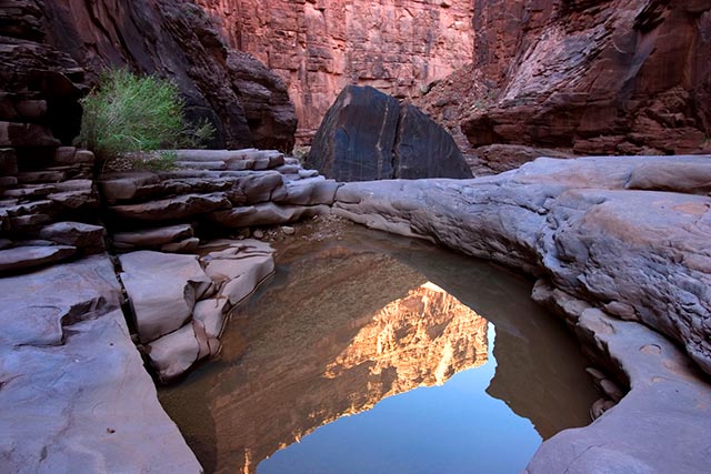 North Canyon Pool