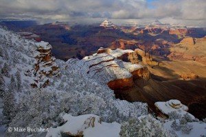 Yaki Point Snowstorm